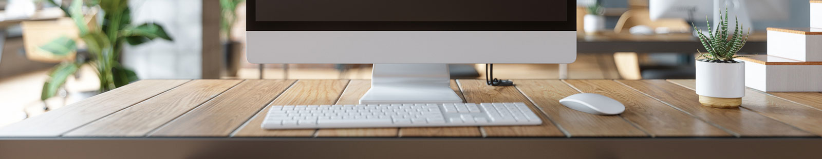 Computer on a desk with plants.