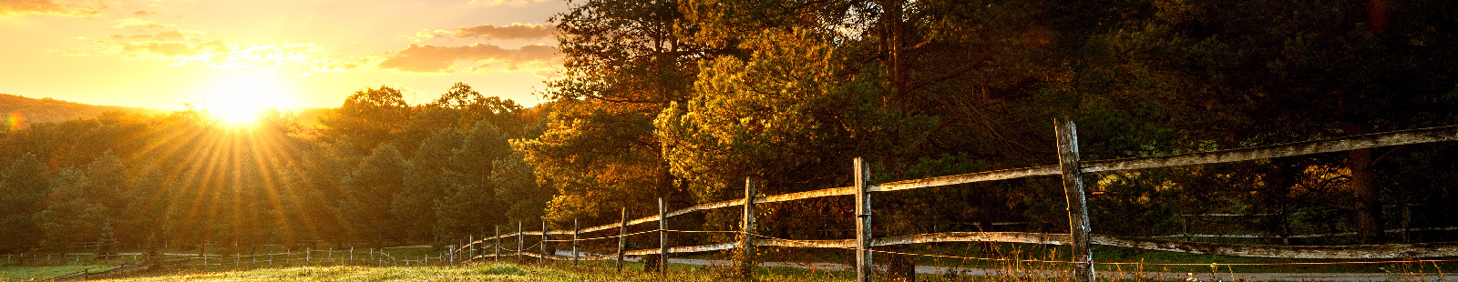 Fence around  farmland